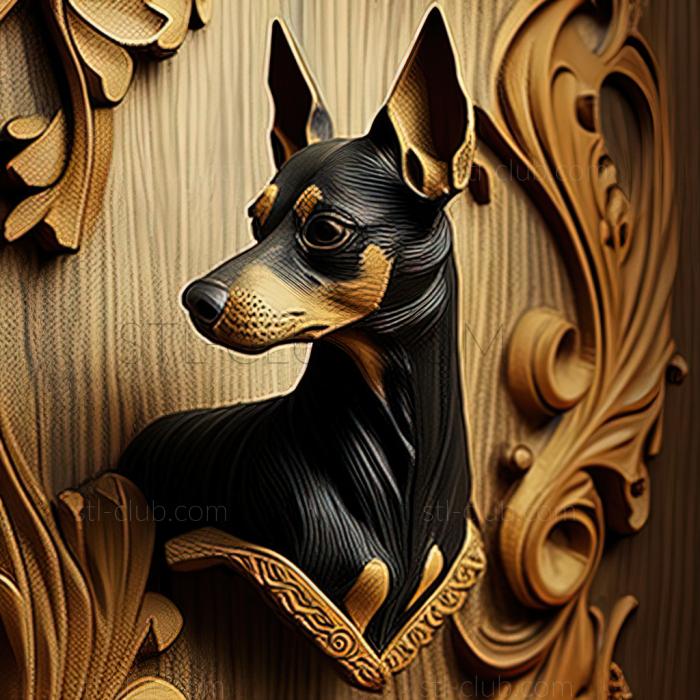 st English Toy Terrier dog